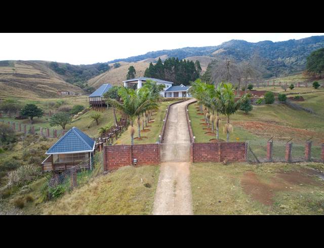 40HA FARM FOR SALE IN BYRNE